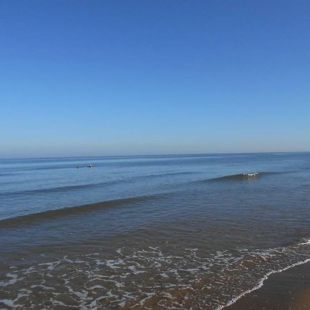 Zomerhuis Wonders Zandvoort Εξωτερικό φωτογραφία