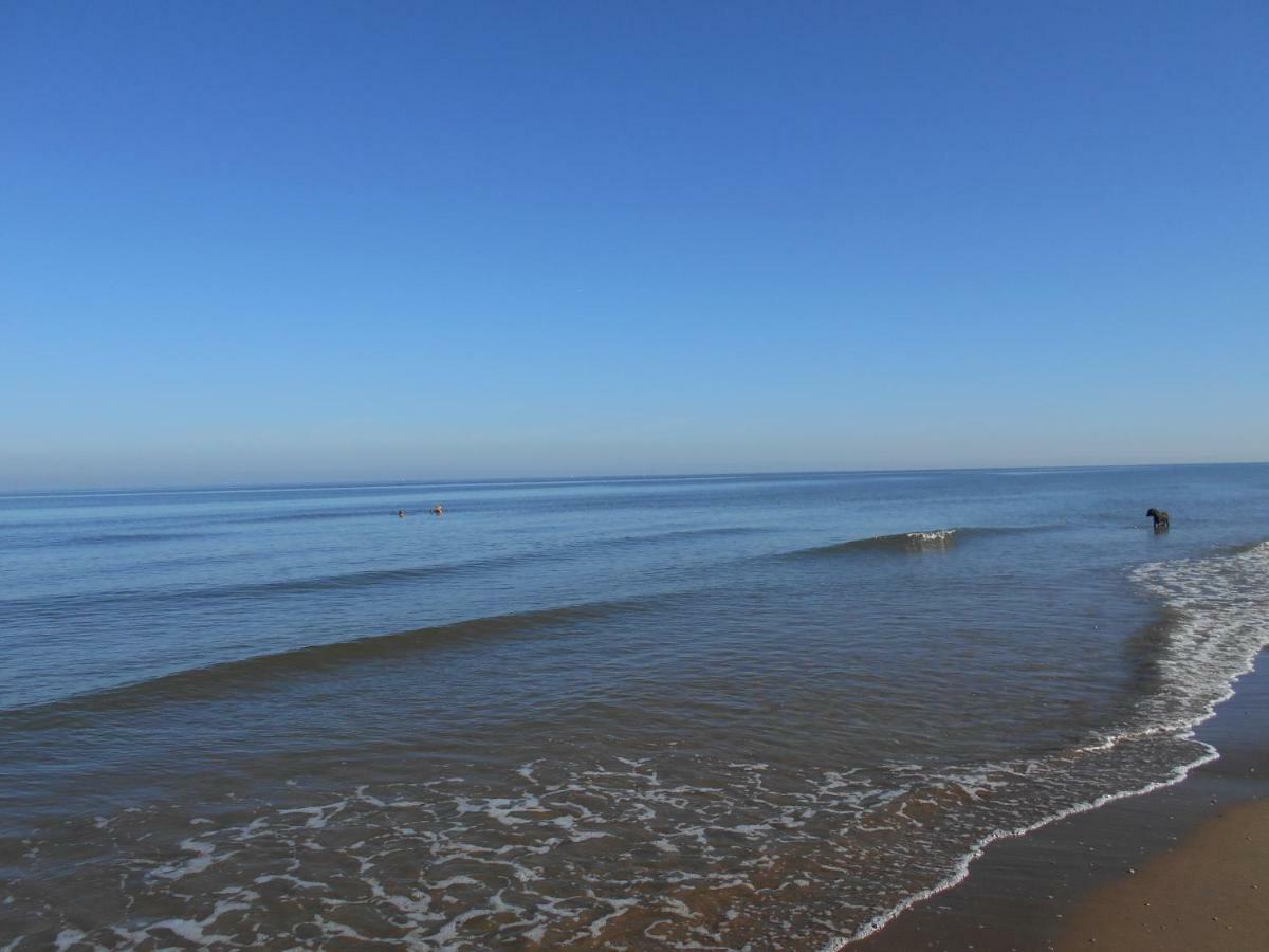 Zomerhuis Wonders Zandvoort Εξωτερικό φωτογραφία